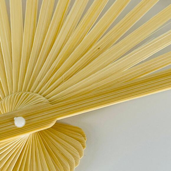 Ketel One Botanical White Foldable Portable Personal Handheld Paper Fan - NWOT - Picture 11 of 14